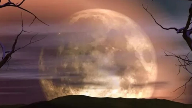 Тази нощ наблюдавахме Боброво пълнолуние - символ на подготовката за зимата