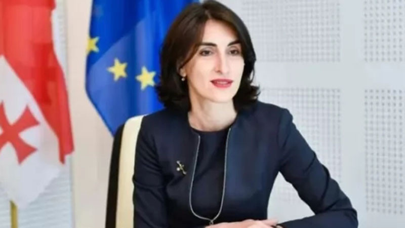 Грузия обвини Украйна, че възпрепятства членството на страната в ЕС