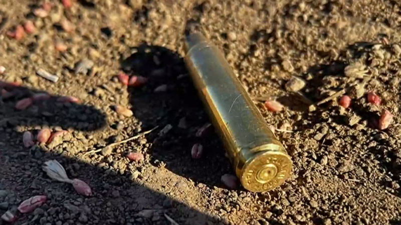 Стрелят по домашни кучета в Русенско, има убити, собственици подозират ловци