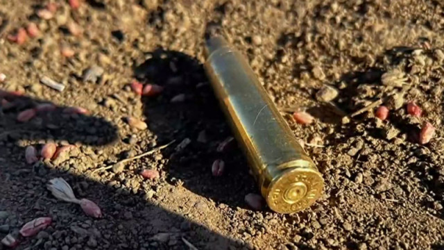 Стрелят по домашни кучета в Русенско, има убити, собственици подозират ловци