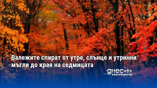 Валежите спират от утре, слънце и утринни мъгли до края на седмицата