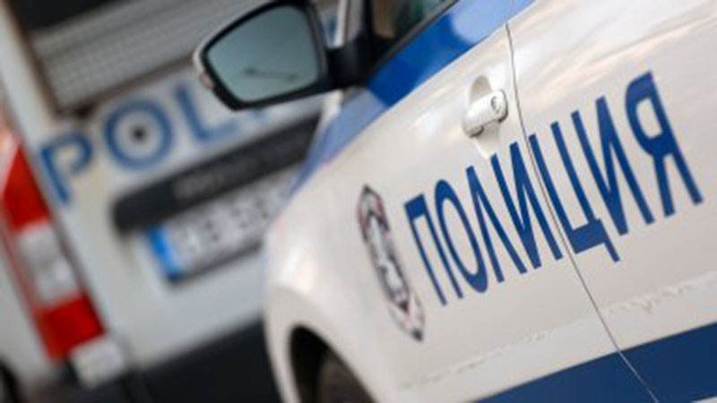 Задържаха мъж за домашно насилие в столичния квартал "Гоце Делчев"