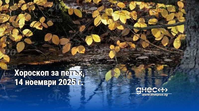 Хороскоп за петък, 14 ноември 2025 г.