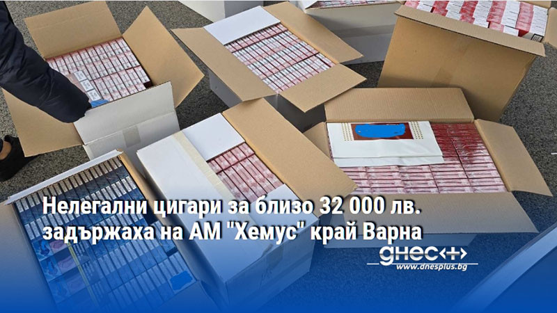 Нелегални цигари за близо 32 000 лв. задържаха на АМ "Хемус" край Варна