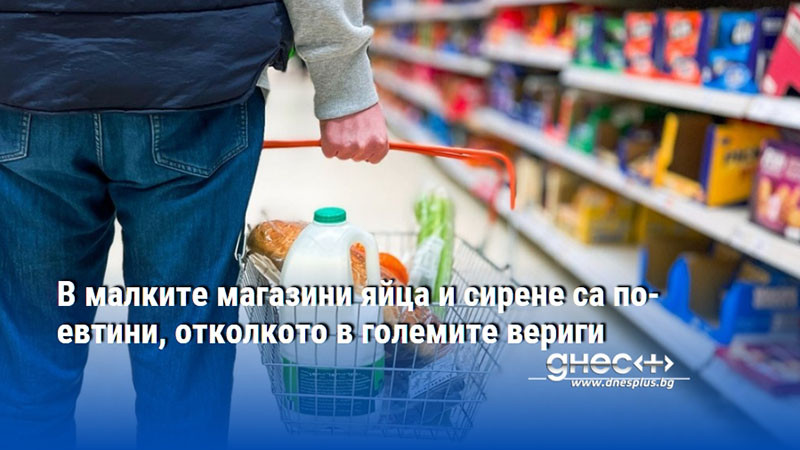 В малките магазини яйца и сирене са по-евтини, отколкото в големите вериги