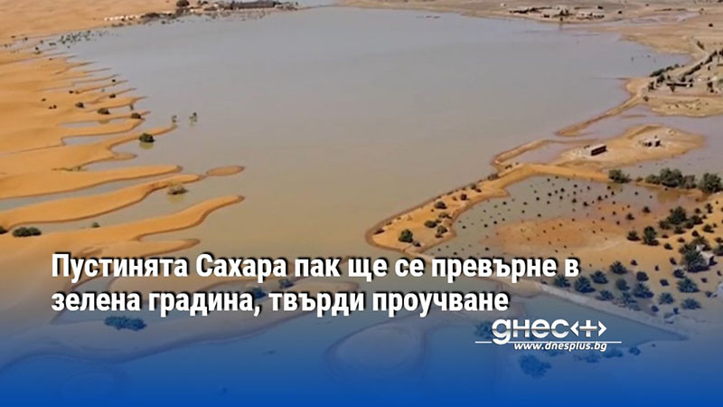 Пустинята Сахара пак ще се превърне в зелена градина, твърди проучване