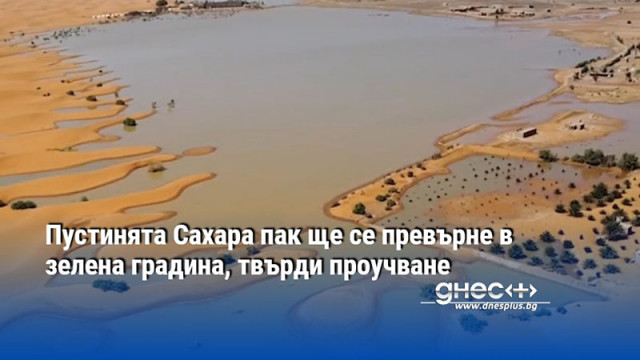 Пустинята Сахара пак ще се превърне в зелена градина, твърди проучване
