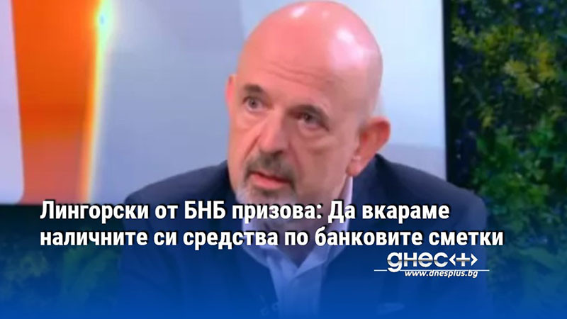 Лингорски от БНБ призова: Да вкараме наличните си средства по банковите сметки