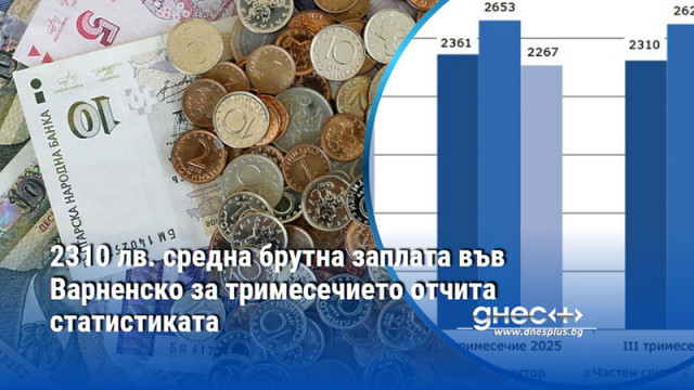 2310 лв. средна брутна заплата във Варненско за тримесечието отчита статистиката
