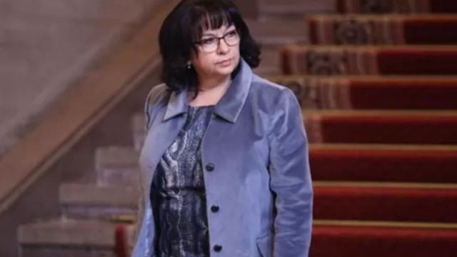 Теменужка Петкова: ПП-ДБ явно имат резерви към борбата със сивата икономика