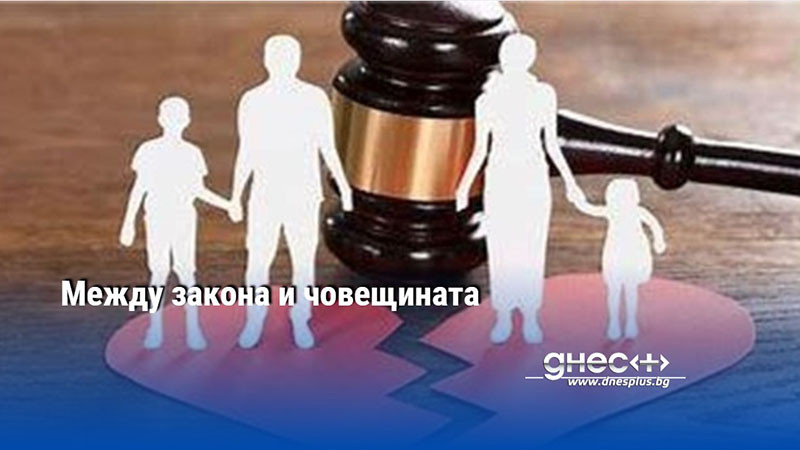 Между закона и човещината