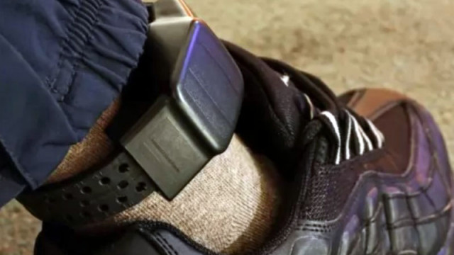 Германското правителство днес одобри проектозакон който ще позволи на съдилищата