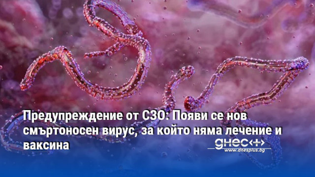 Предупреждение от СЗО: Появи се нов смъртоносен вирус, за който няма лечение и ваксина
