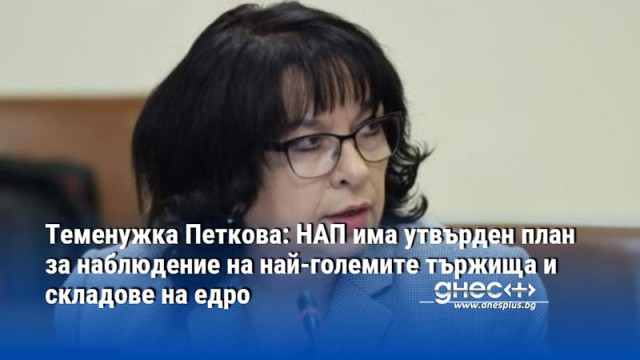 Теменужка Петкова: НАП има утвърден план за наблюдение на най-големите тържища и складове на едро