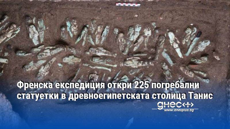 Френска експедиция откри 225 погребални статуетки в древноегипетската столица Танис