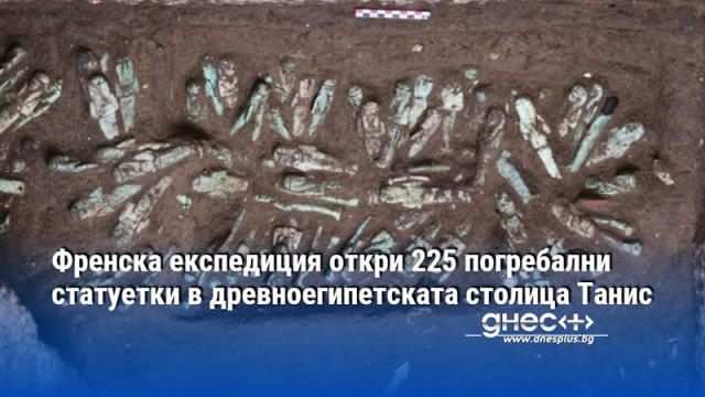 Френска експедиция откри 225 погребални статуетки в древноегипетската столица Танис
