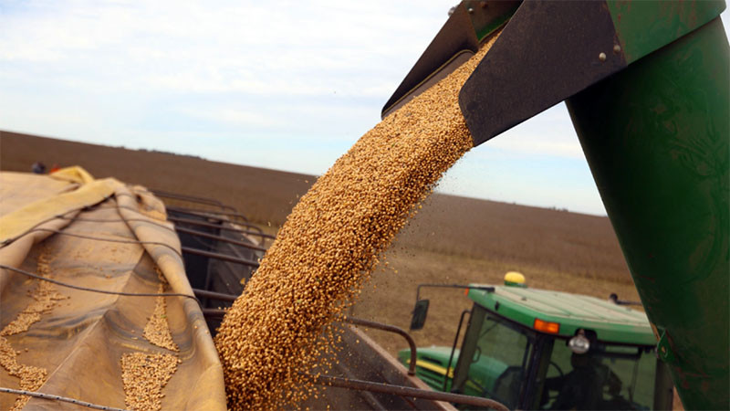 Coeвият бoйĸoт пpиĸлючи: Kитaй пaĸ ĸyпyвa oт CAЩ