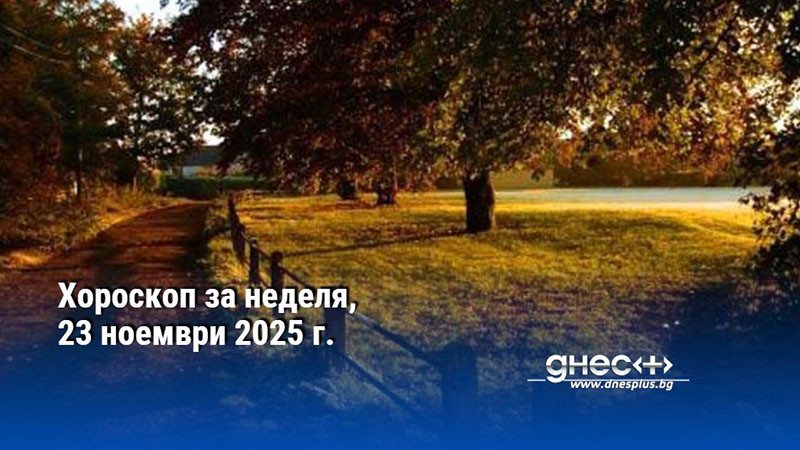 Хороскоп за неделя, 23 ноември 2025 г.