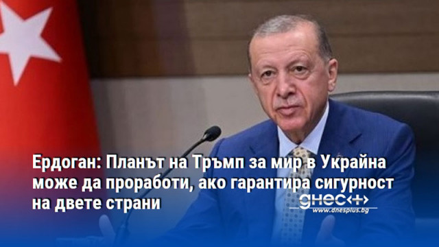 Ердоган: Планът на Тръмп за мир в Украйна може да проработи, ако гарантира сигурност на двете страни