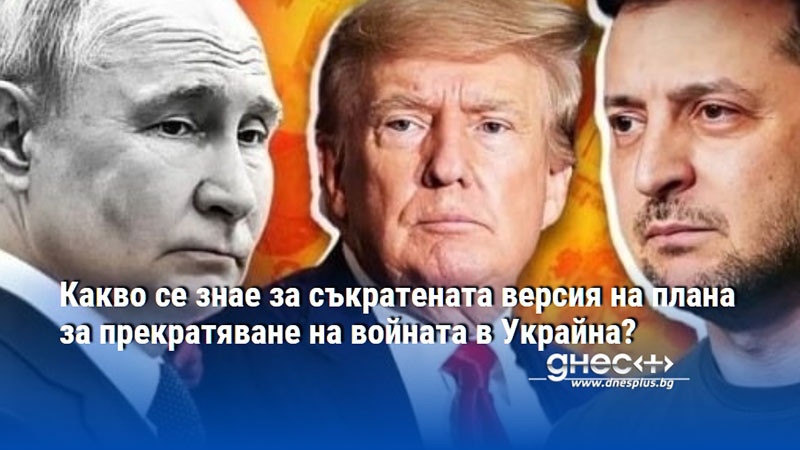 Какво се знае за съкратената версия на плана за прекратяване на войната в Украйна?