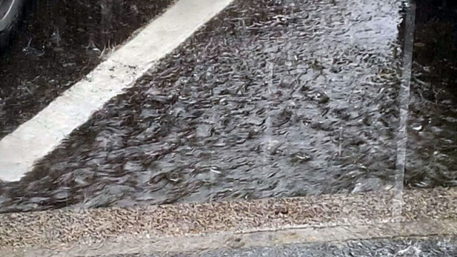 Оранжев и жълд код за обилни валежи