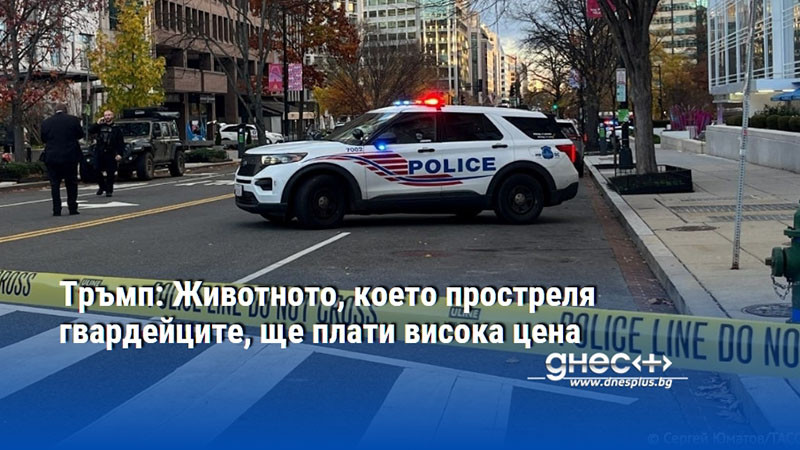 Тръмп: Животното, което простреля гвардейците, ще плати висока цена