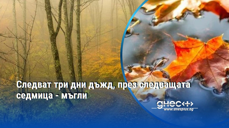 Следват три дни дъжд, през следващата седмица - мъгли