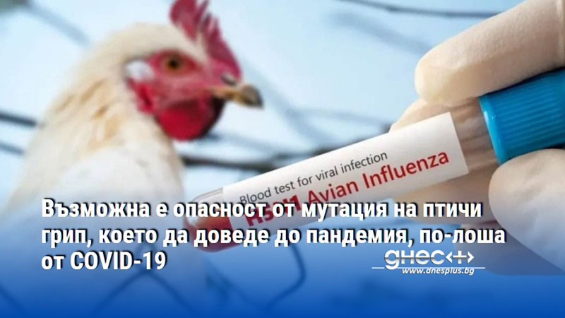 Възможна е опасност от мутация на птичи грип, което да доведе до пандемия, по-лоша от COVID-19