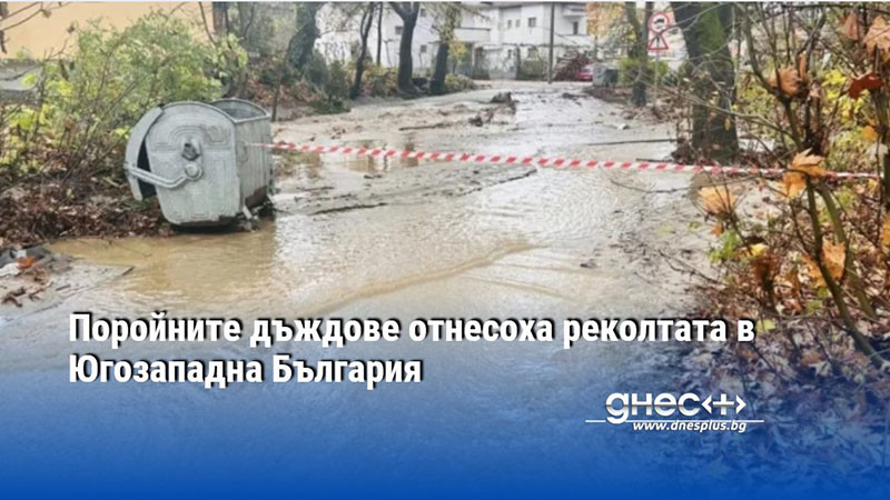 Поройните дъждове отнесоха реколтата в Югозападна България