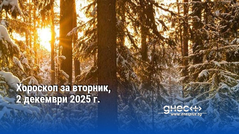 Хороскоп за вторник, 2 декември 2025 г.