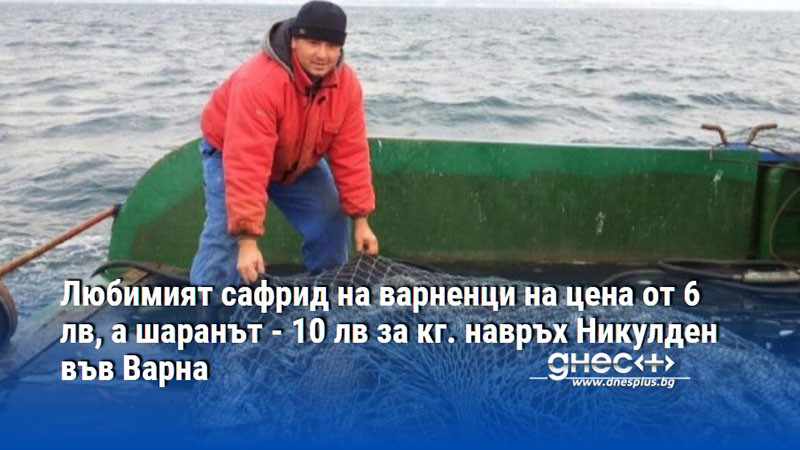 Любимият сафрид на варненци на цена от 6 лв, а шаранът - 10 лв за кг. навръх Никулден във Варна