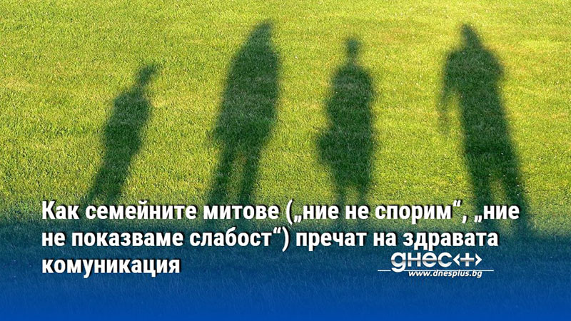 Как семейните митове („ние не спорим“, „ние не показваме слабост“) пречат на здравата комуникация