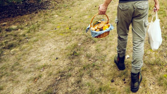 Двама възрастни мъже бяха успешно спасени след като се загубиха