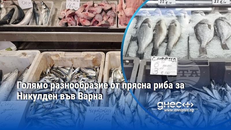 Голямо разнообразие от прясна риба за Никулден във Варна