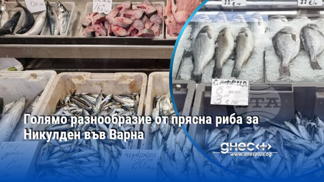 Голямо разнообразие от прясна риба за Никулден във Варна