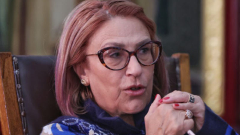 Доц. Буруджиева: Този протест няма икономически мотив и енергията на протеста от 1997 година