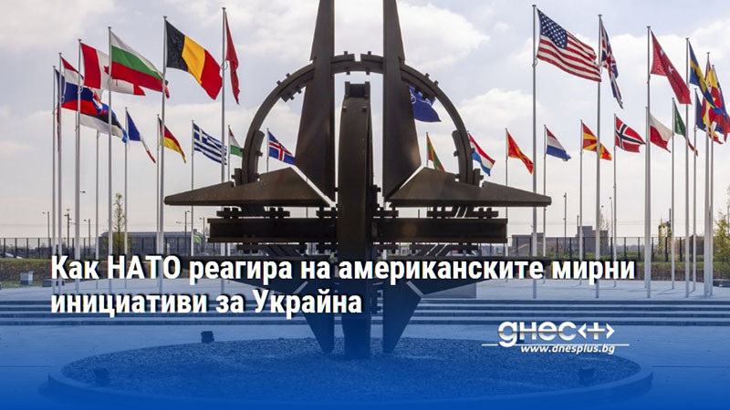Как НАТО реагира на американските мирни инициативи за Украйна