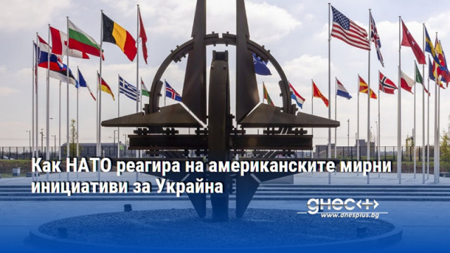Как НАТО реагира на американските мирни инициативи за Украйна