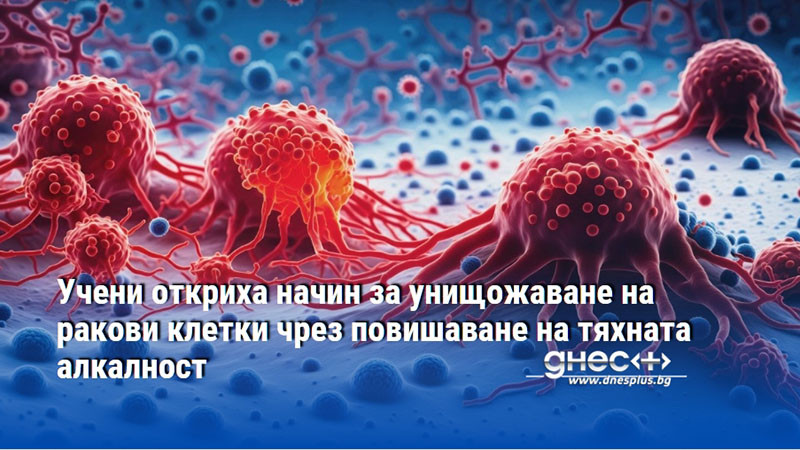 Учени откриха начин за унищожаване на ракови клетки чрез повишаване на тяхната алкалност