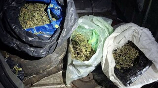 На територията на Бобов дол вчера е проведена специализирана полицейска