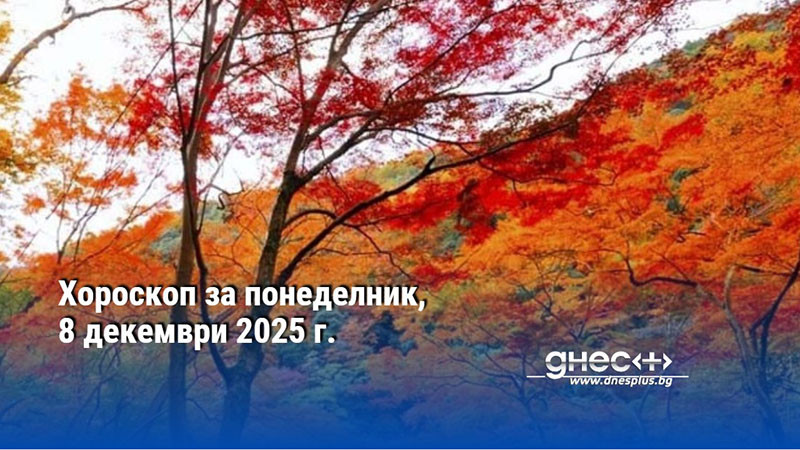 Хороскоп за понеделник, 8 декември 2025 г.