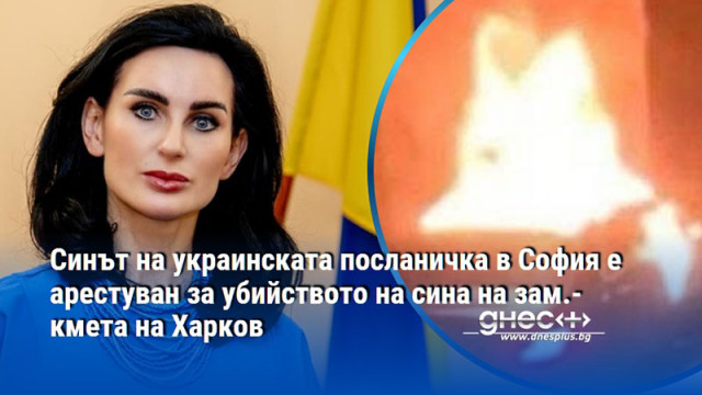 Синът на украинската посланичка в София е арестуван за убийството на сина на зам.-кмета на Харков