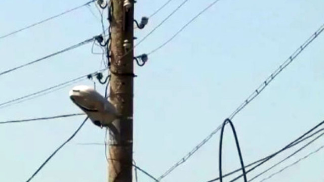 ЕК: Нужно е допълнително финансиране за подобряване на мрежата за пренос на ток в страните от ЕС