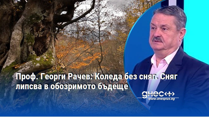 Проф. Георги Рачев: Коледа без сняг. Сняг липсва в обозримото бъдеще