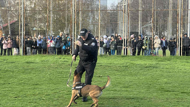 Открит урок за екипната работа на кучета и полицаи