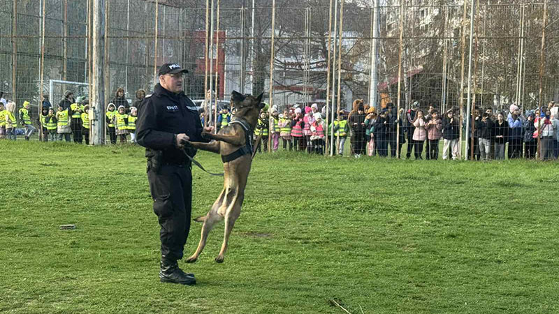 Открит урок за екипната работа на кучета и полицаи