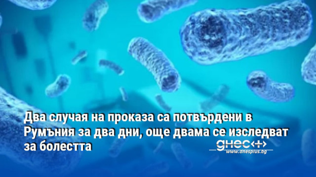 Последният случай на проказа в Румъния беше потвърден преди 44