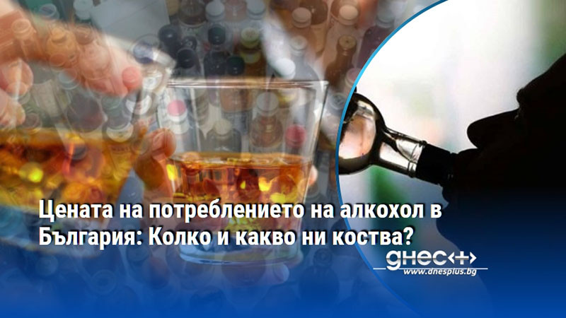 Цената на потреблението на алкохол в България: Колко и какво ни коства?