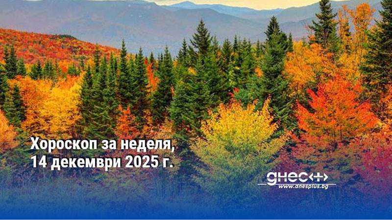 Хороскоп за неделя, 14 декември 2025 г.