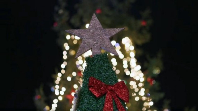 Откраднаха елха украсена от деца на публично място в квартал